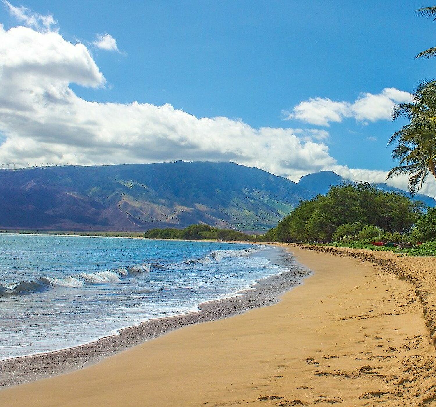 A serene beach with palm trees lining the golden sand, gentle waves, and a backdrop of lush green mountains under a partly cloudy blue sky.