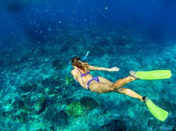 A person in a purple swimsuit and yellow fins is snorkeling in clear blue water with a view of underwater coral.